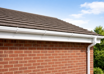 ChatGPT Image Feb 18, 2026, 04_21_32 PM